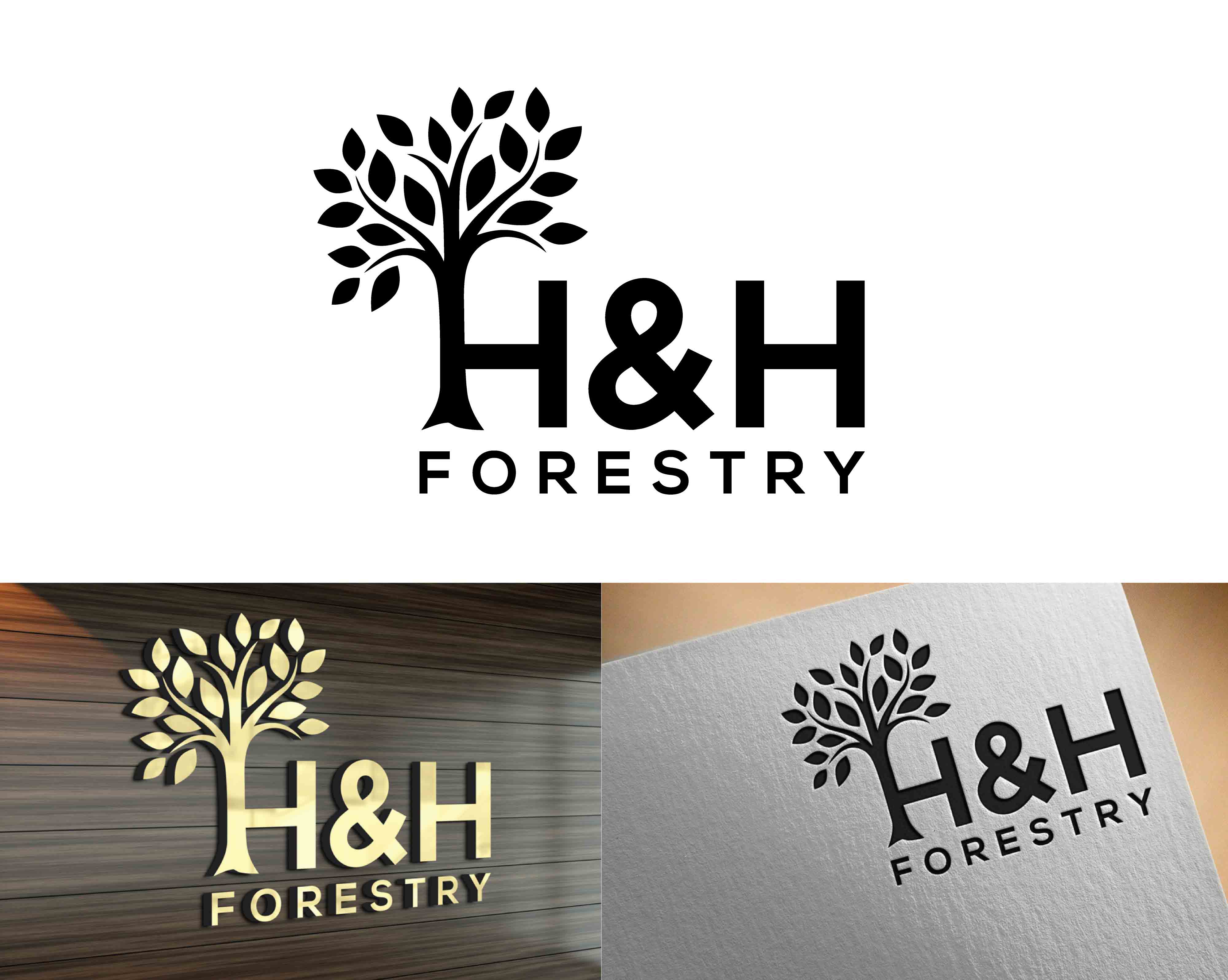 Logo Design by Di_Gi for BMM Ltd  | Design #31874805