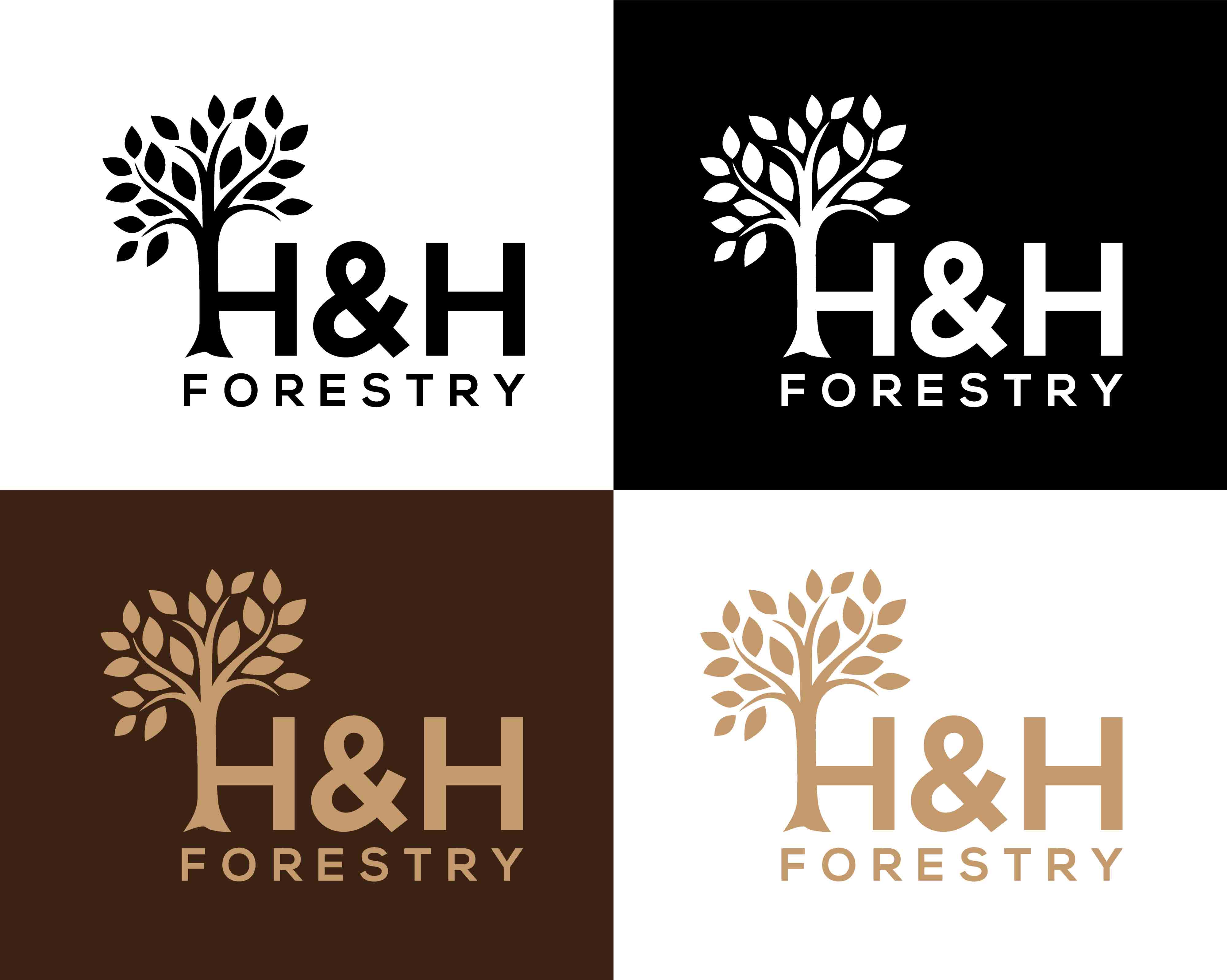 Logo Design by Di_Gi for BMM Ltd  | Design #31874806