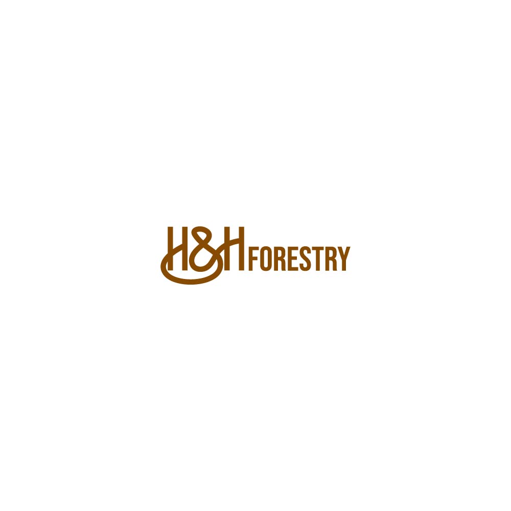 Logo Design by AyeshaSiddika for BMM Ltd  | Design #31874478