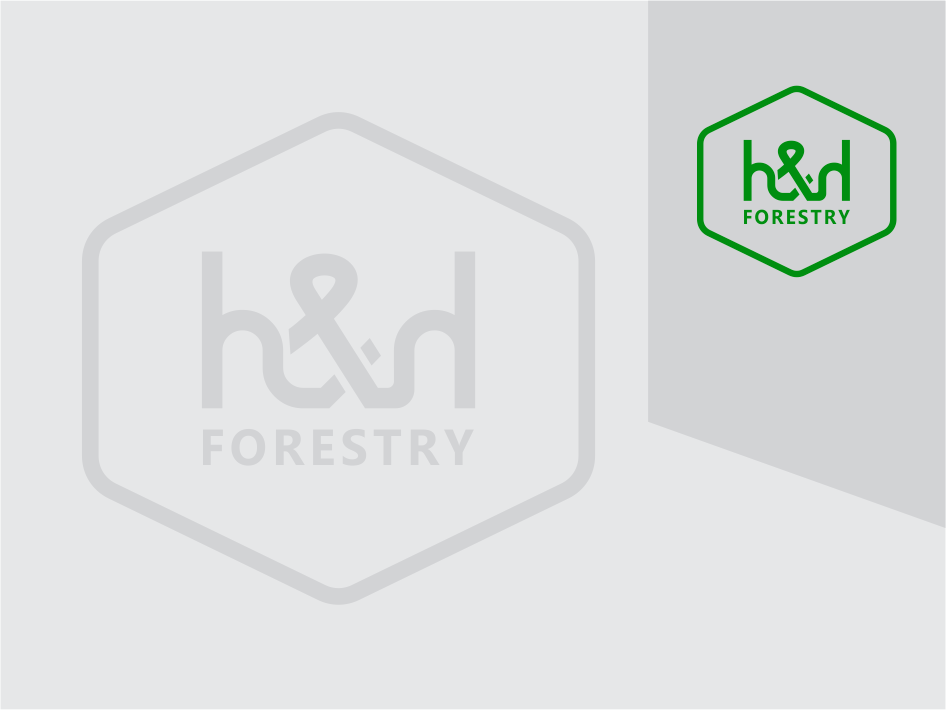 Logo-Design von Bee Bee für BMM Ltd  | Design #31901330