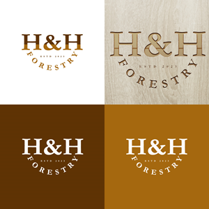 Logo Design by fly  design for BMM Ltd  | Design: #31876186