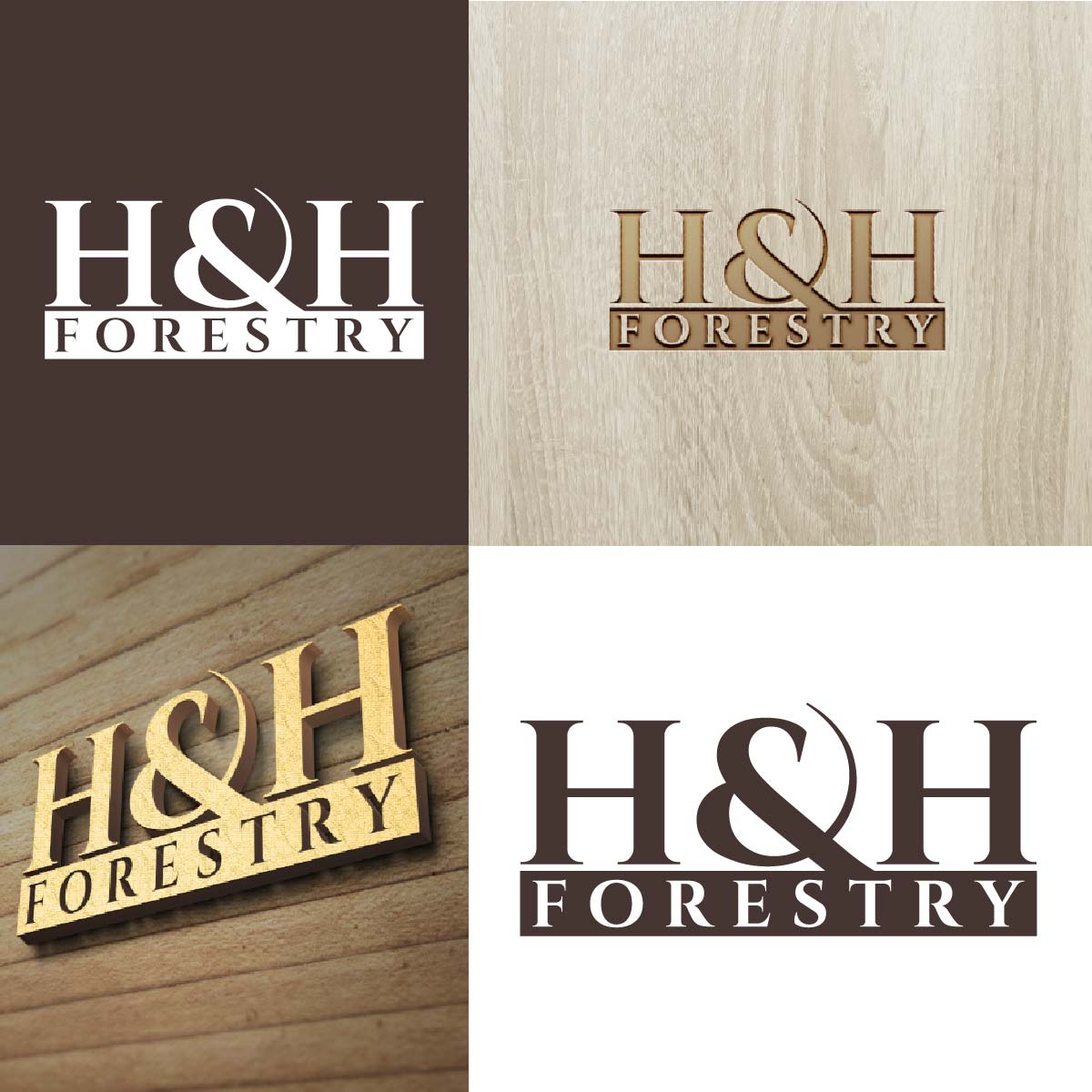 Logo Design by fly  design for BMM Ltd  | Design #31876187