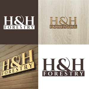 Logo Design by fly  design for BMM Ltd  | Design: #31876187