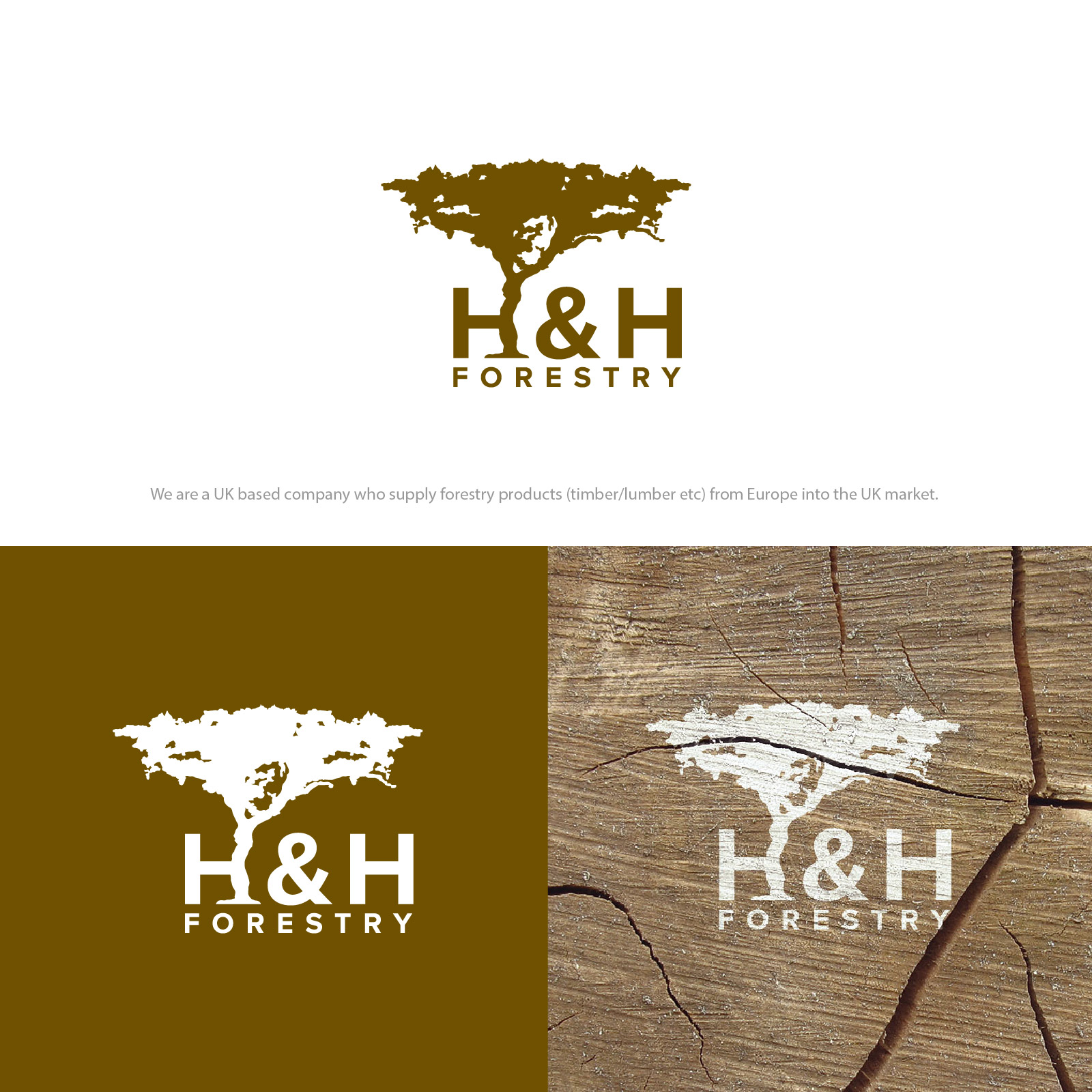 Design de Logo par 4tech services pour BMM Ltd  | Design #31870907