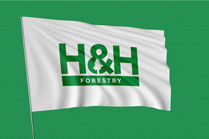 Logo Design by Abdul 20 for BMM Ltd  | Design: #31872797