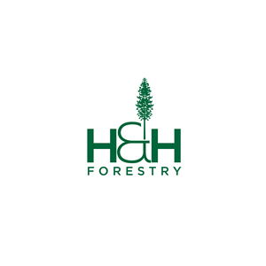 Logo-Design von geni für BMM Ltd  | Design #31896447