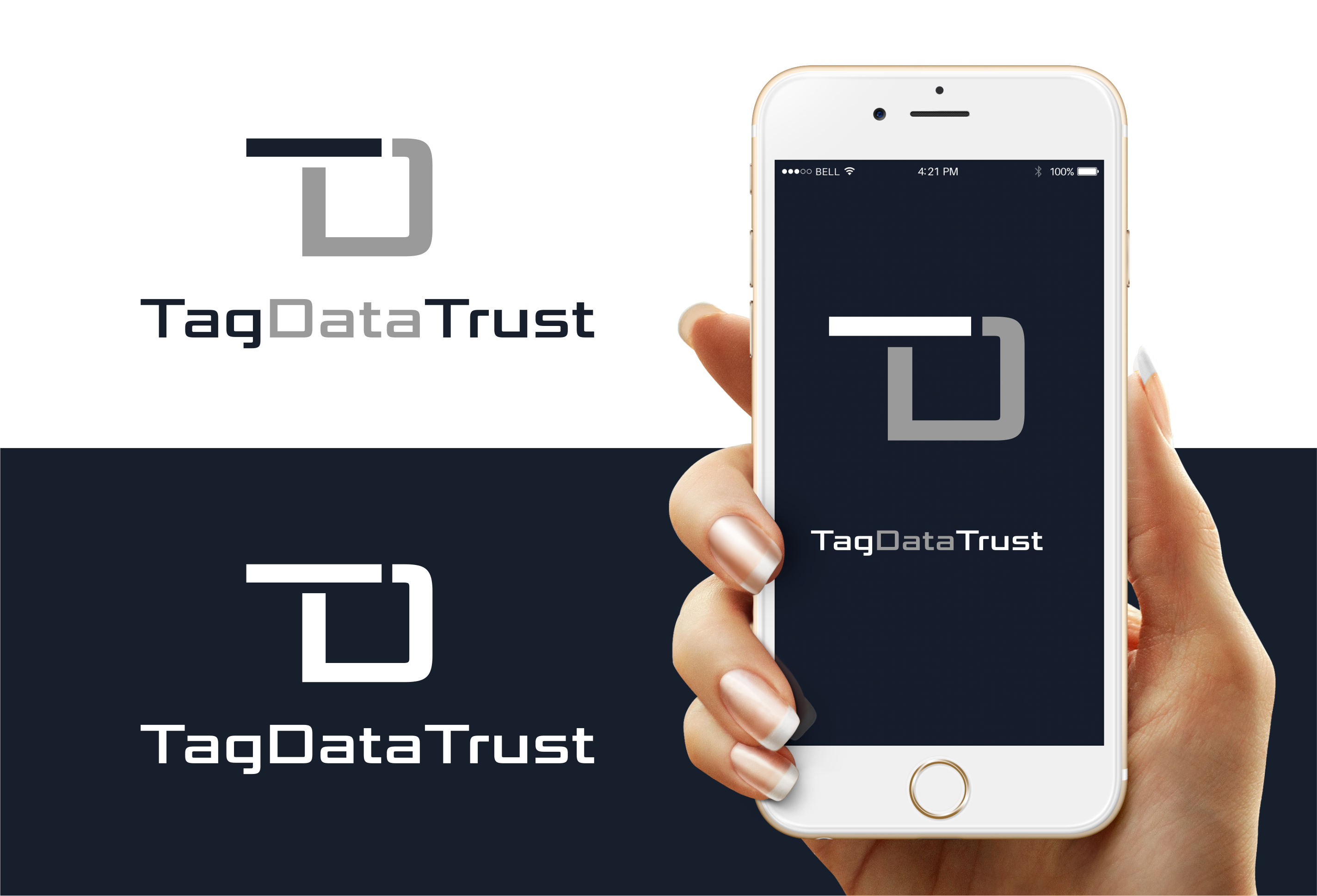 Logo Design by healer1617 for this project | Design #31875232