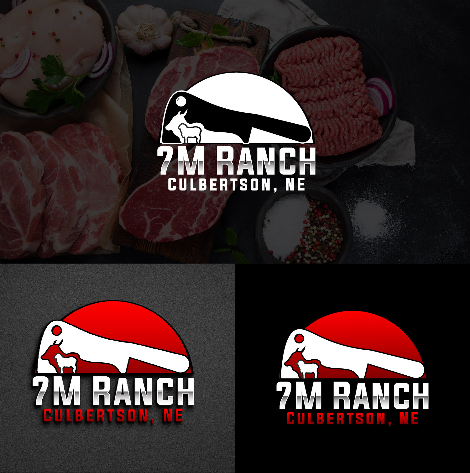 Design de Logo par BabyDriverFour pour ce projet | Design #31902505