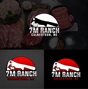 Logo Design by BabyDriverFour for this project | Design #31902505