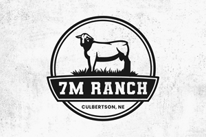 Logo-Design von Aezakmi für dieses Projekt | Design: #31909152