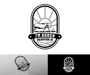 Logo Design by Ansh Design for this project | Design: #31890345
