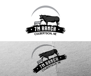 Logo Design by Ansh Design for this project | Design: #31890346