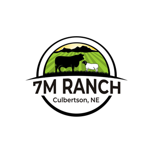 Logo Design by OrianO-70 for this project | Design #31927387
