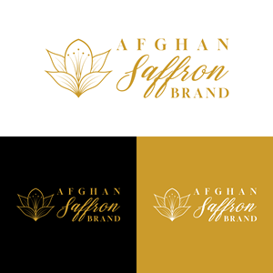 Logo Design by bdfahim2023