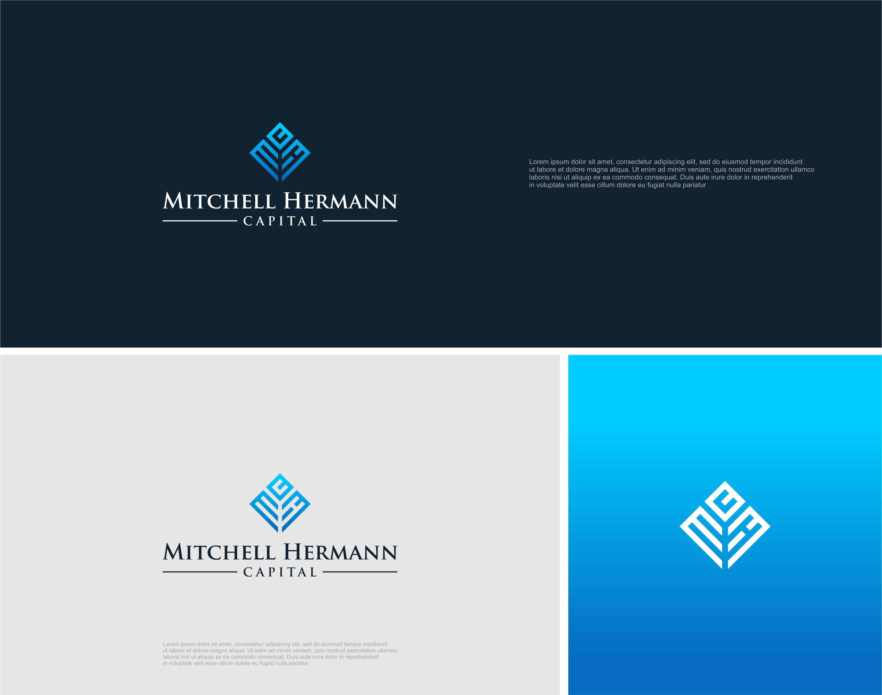 Diseño de Logo por MONOGRAPH para Mitchell Hermann Group LLC | Diseño #31900871