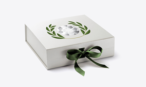 Logo Design by Kleito for Alto Rio Ltd | Design: #31934538