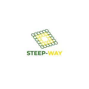 Logo Design by Aljune Castro Designs for this project | Design: #31916371