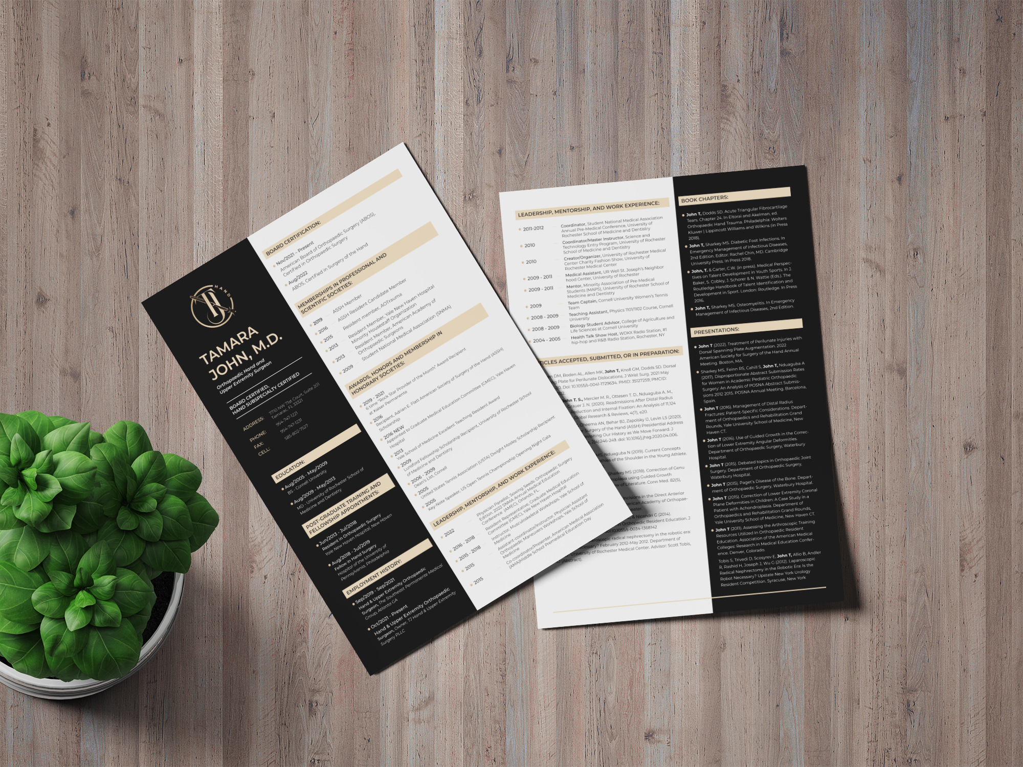 Lebenslauf-Design von JanuXart für dieses Projekt | Design #31926515