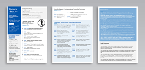 Resume Design by Graphic Guy