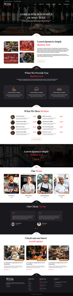 Web Design by NetSpidy