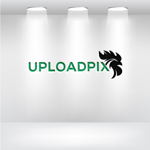 Logo Design by leooo for this project | Design: #31930516