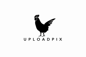 Logo Design by design_87