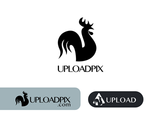 Logo Design by XUE DESIGN for this project | Design: #31943690
