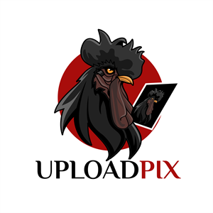 Logo Design by Pak We Designs