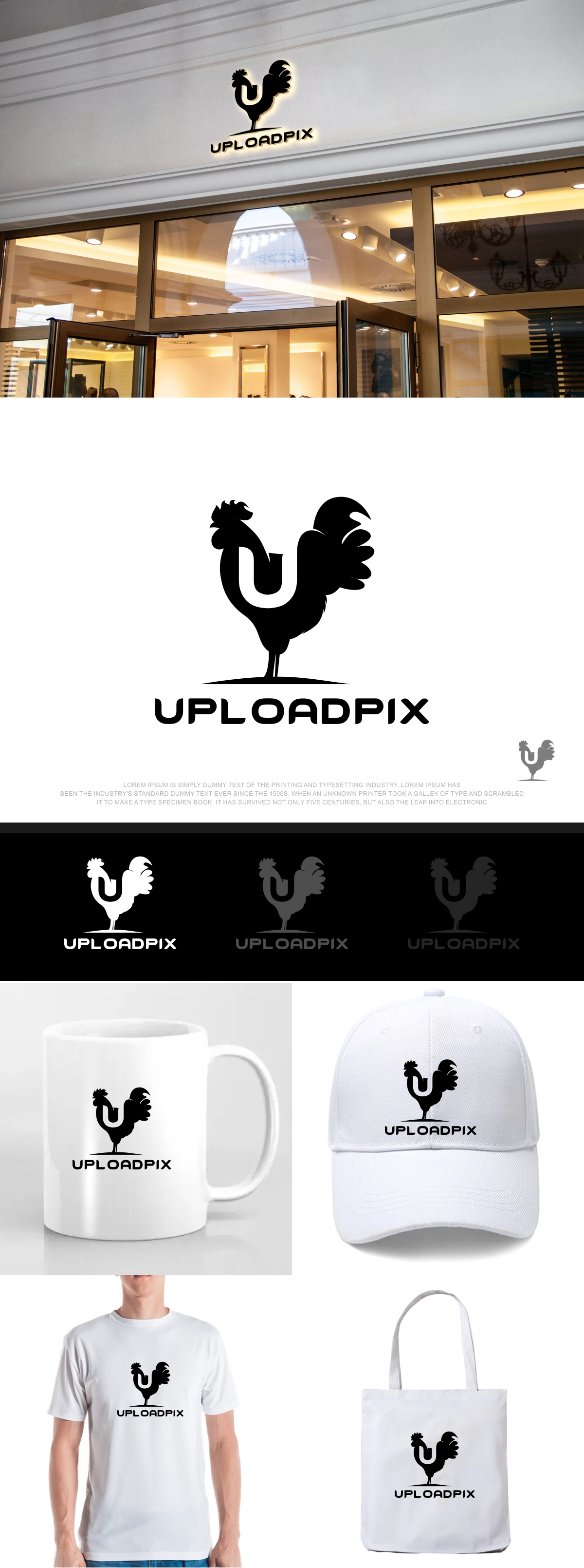 Logo Design by fly  design for this project | Design #31921650