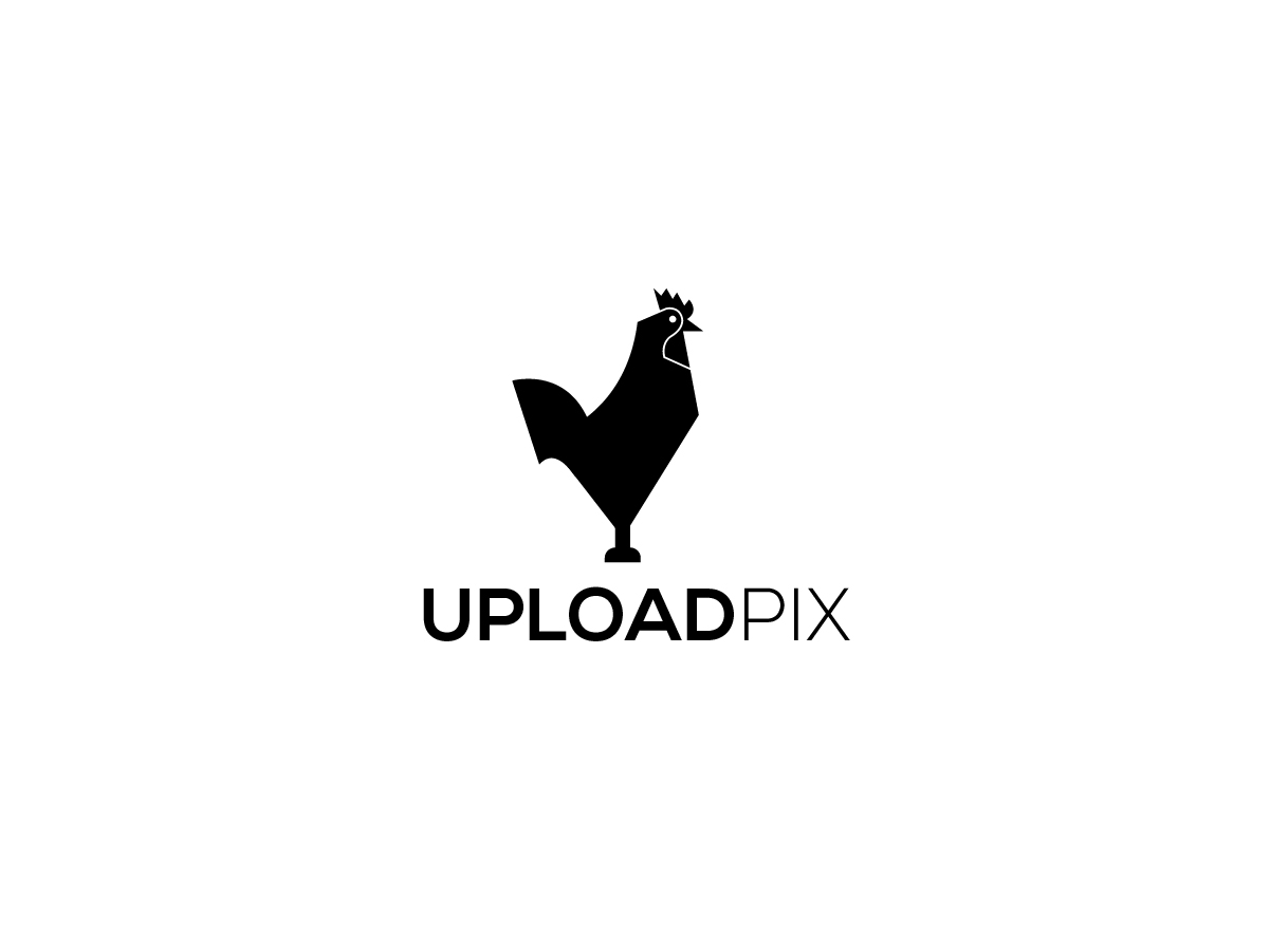 Logo Design by Owltive for this project | Design #31918691