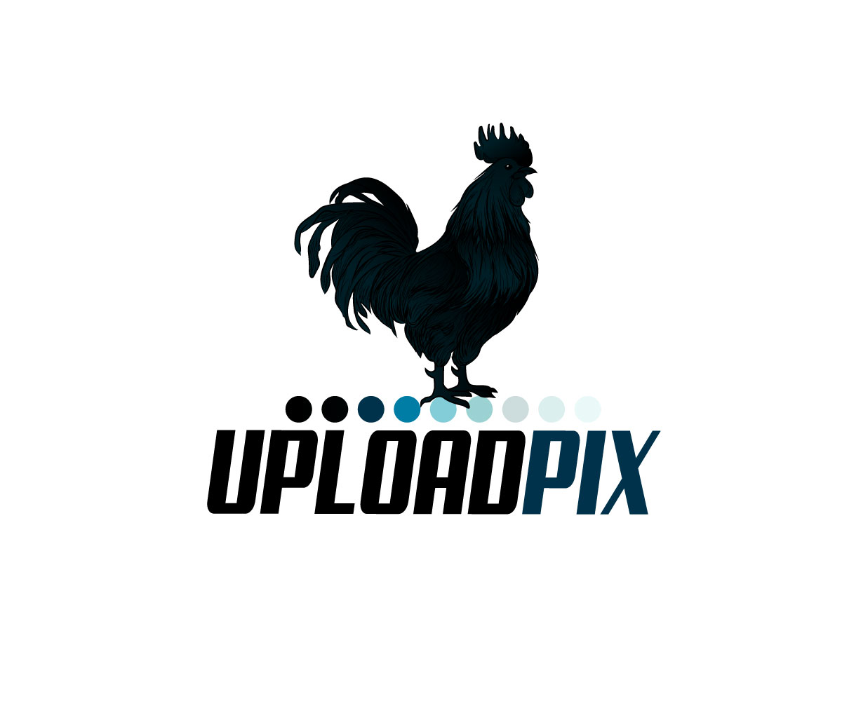 Logo Design by Ansh Design for this project | Design #31922430