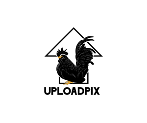 Logo Design by Ansh Design for this project | Design: #31922431