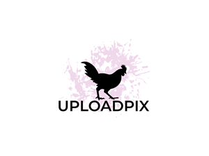 Logo Design by BNdesigner for this project | Design: #31925856