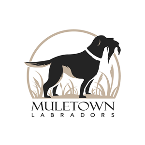 Logo Design by Roland C