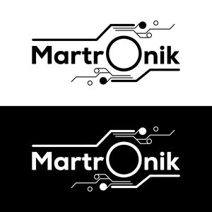 Logo Design by Decorative TEAM