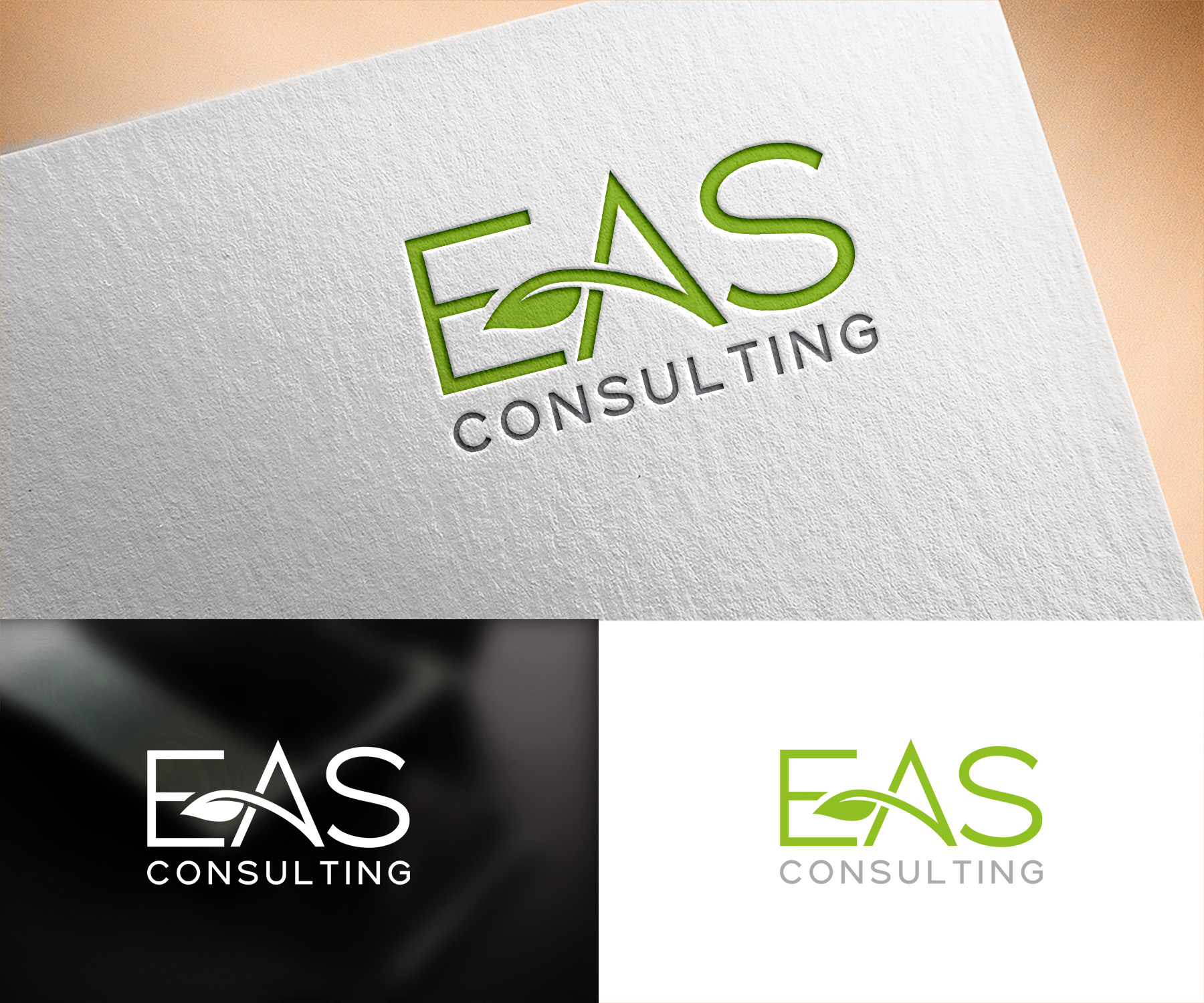 Logo Design by Vishak vasu for this project | Design #31965557