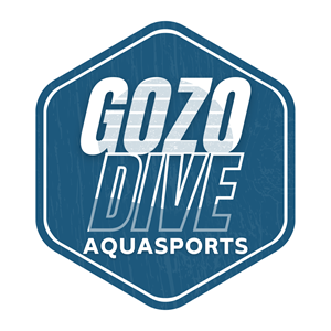 Logo Design by Chas Designs for GOZODIVE - St. Andrews | Design: #31963400