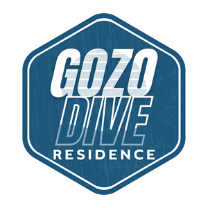 Logo Design by Chas Designs for GOZODIVE - St. Andrews | Design: #31963414