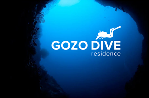 Logo Design by TAQ