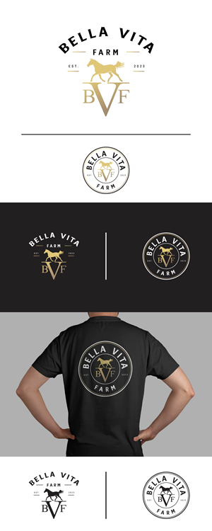 Design de Logo par Idea Master Plus pour ce projet | Design : #31940231