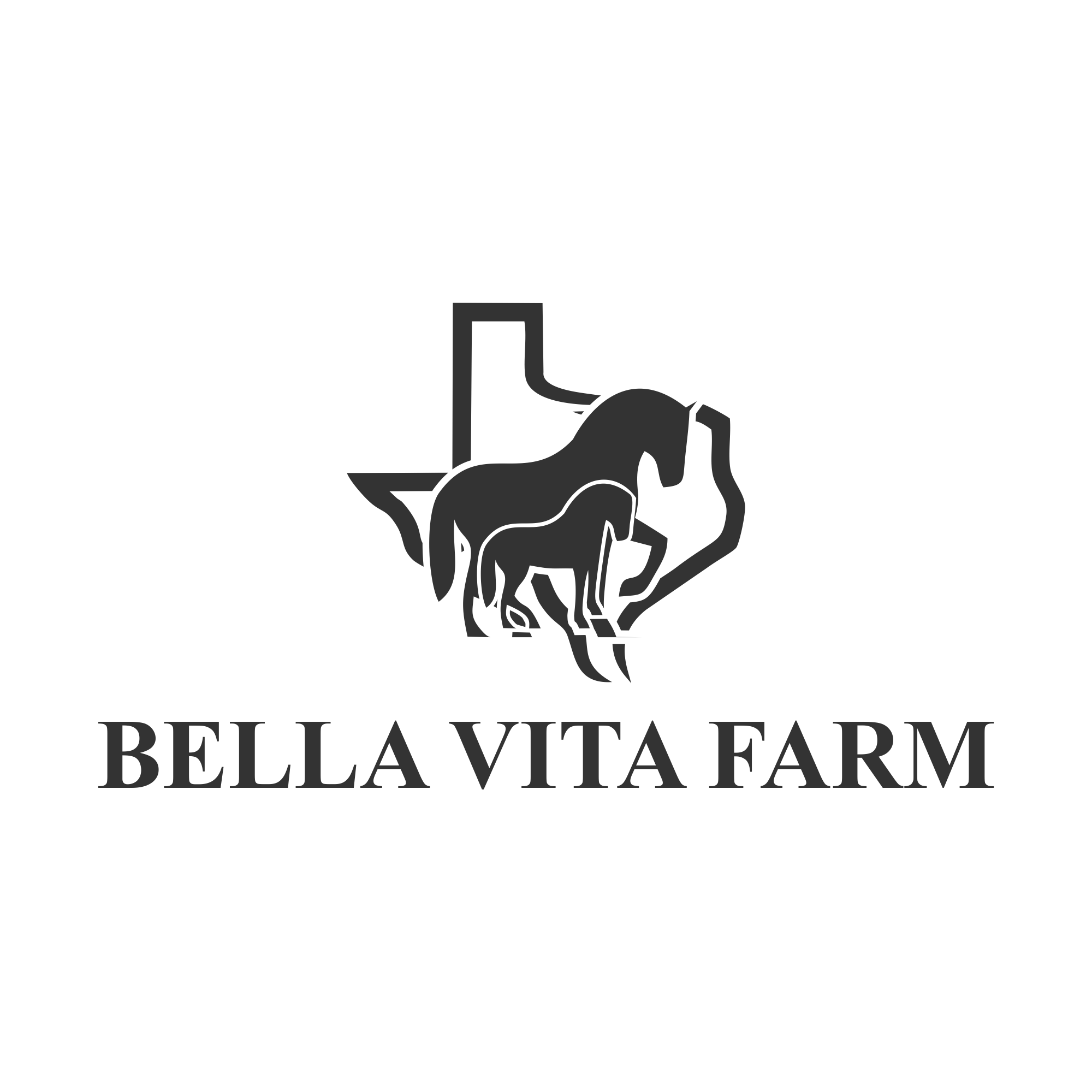 Diseño de Logo por 27studioArt para este proyecto | Diseño #31940441