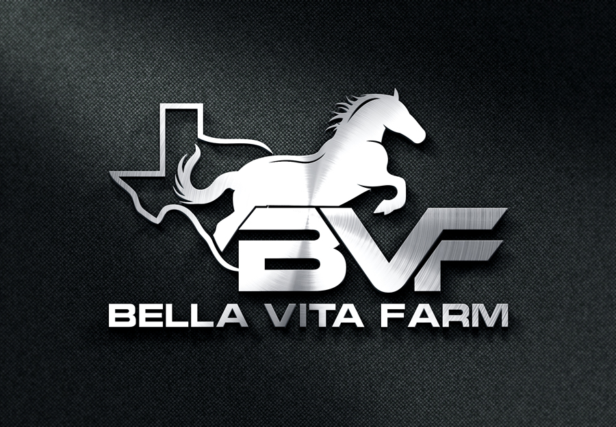 Design de Logo par CrossFit design  pour ce projet | Design #31946185