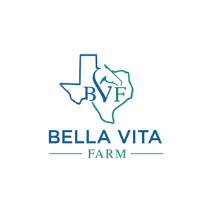 Logo Design by GTO  design