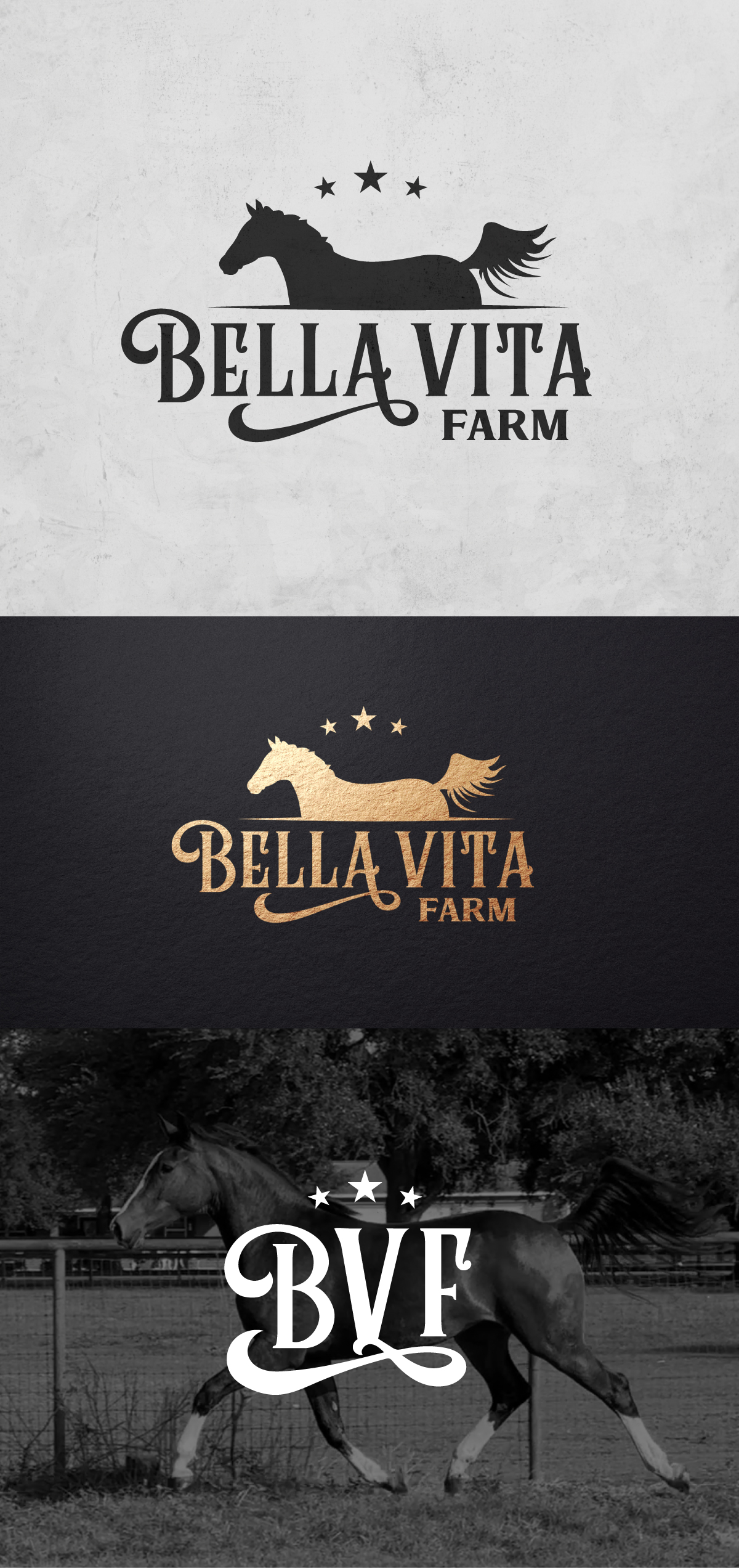 Logo-Design von apik. für dieses Projekt | Design #31933564