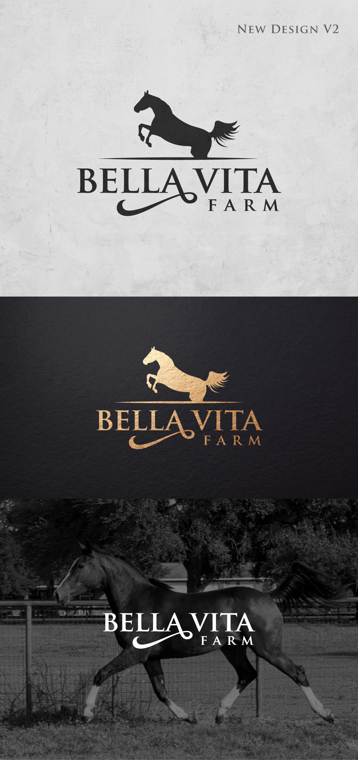 Logo Design by apik. for this project | Design #31935887