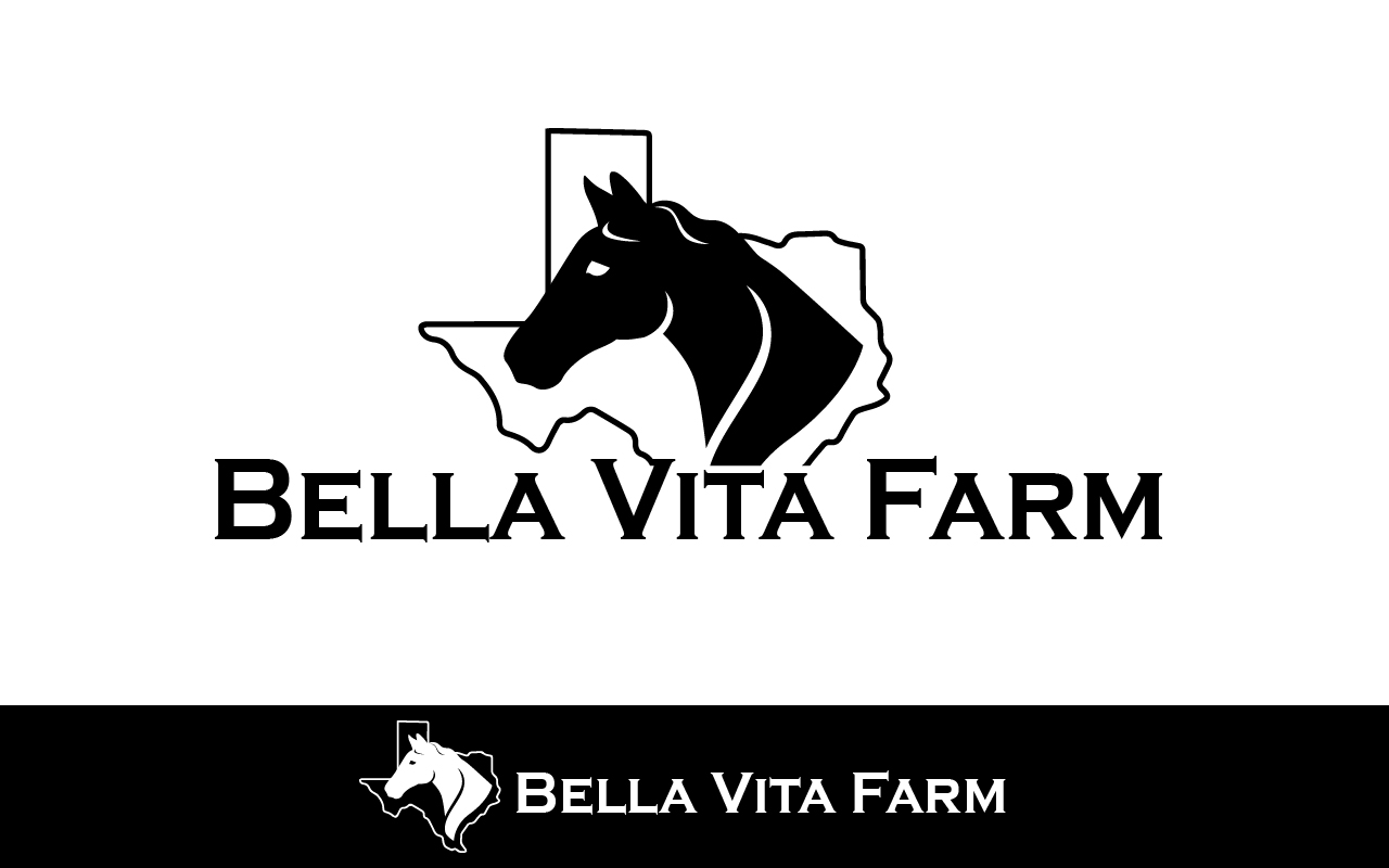 Diseño de Logo por Justin E para este proyecto | Diseño #31932700