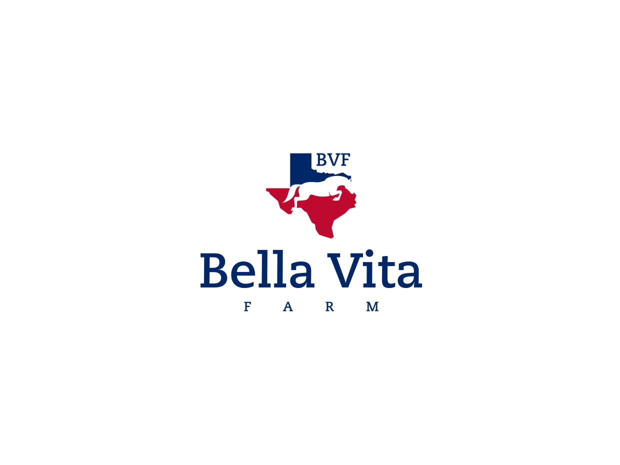 Design de Logo par Atvento Graphics pour ce projet | Design #31932288