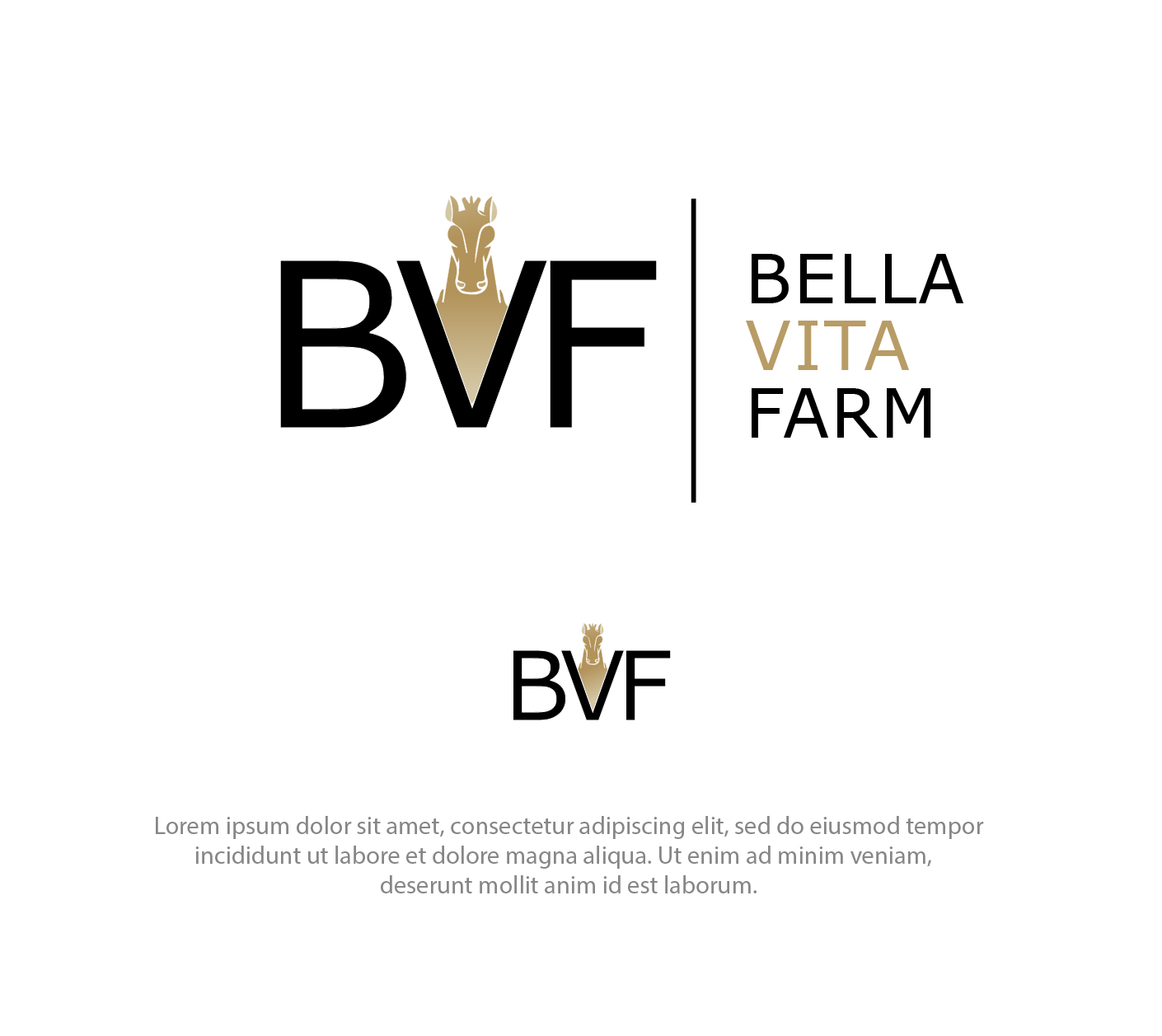 Logo Design by saifysyed Studio for this project | Design #31954598
