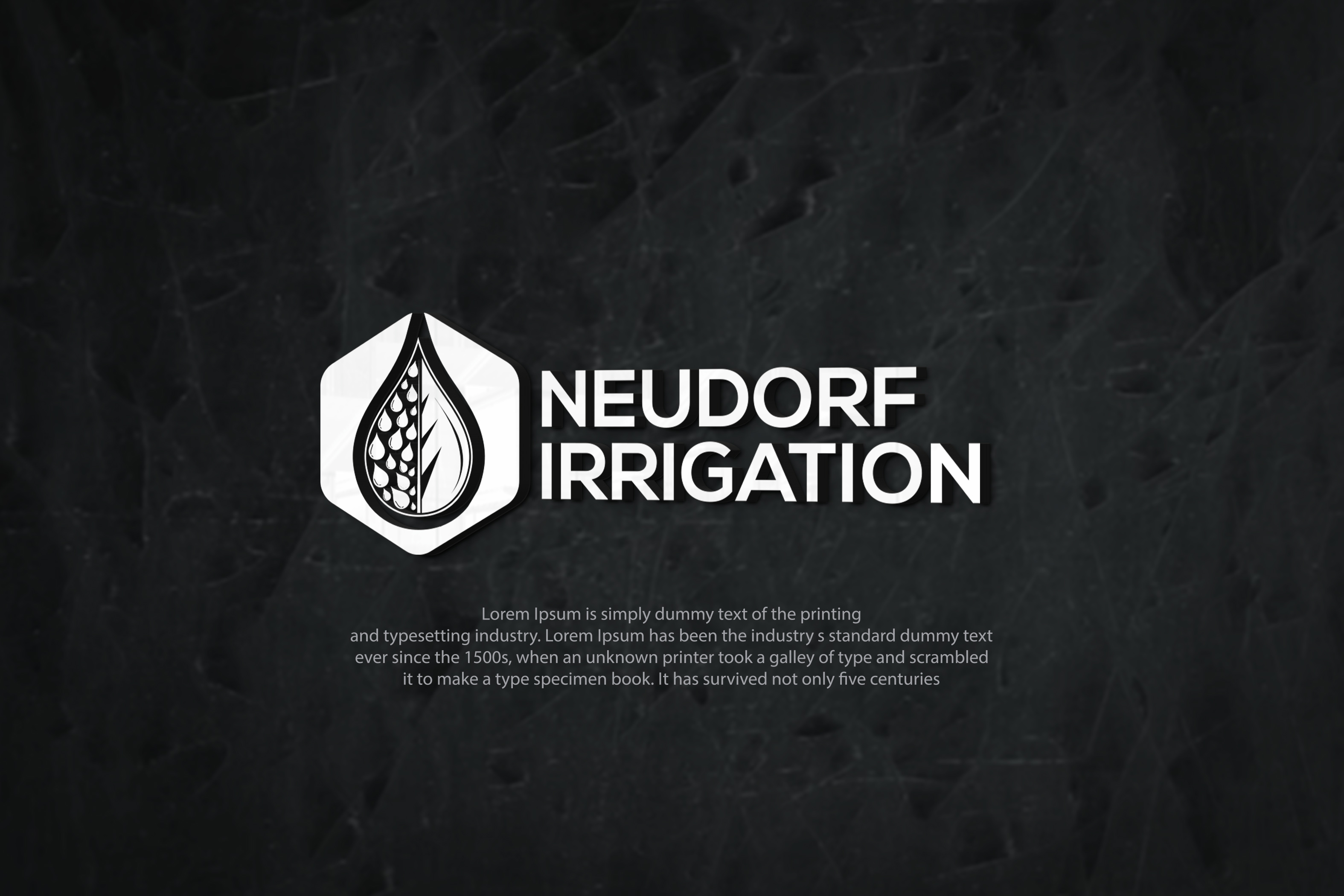 Logo Design by RedLine 3 for this project | Design #31937797