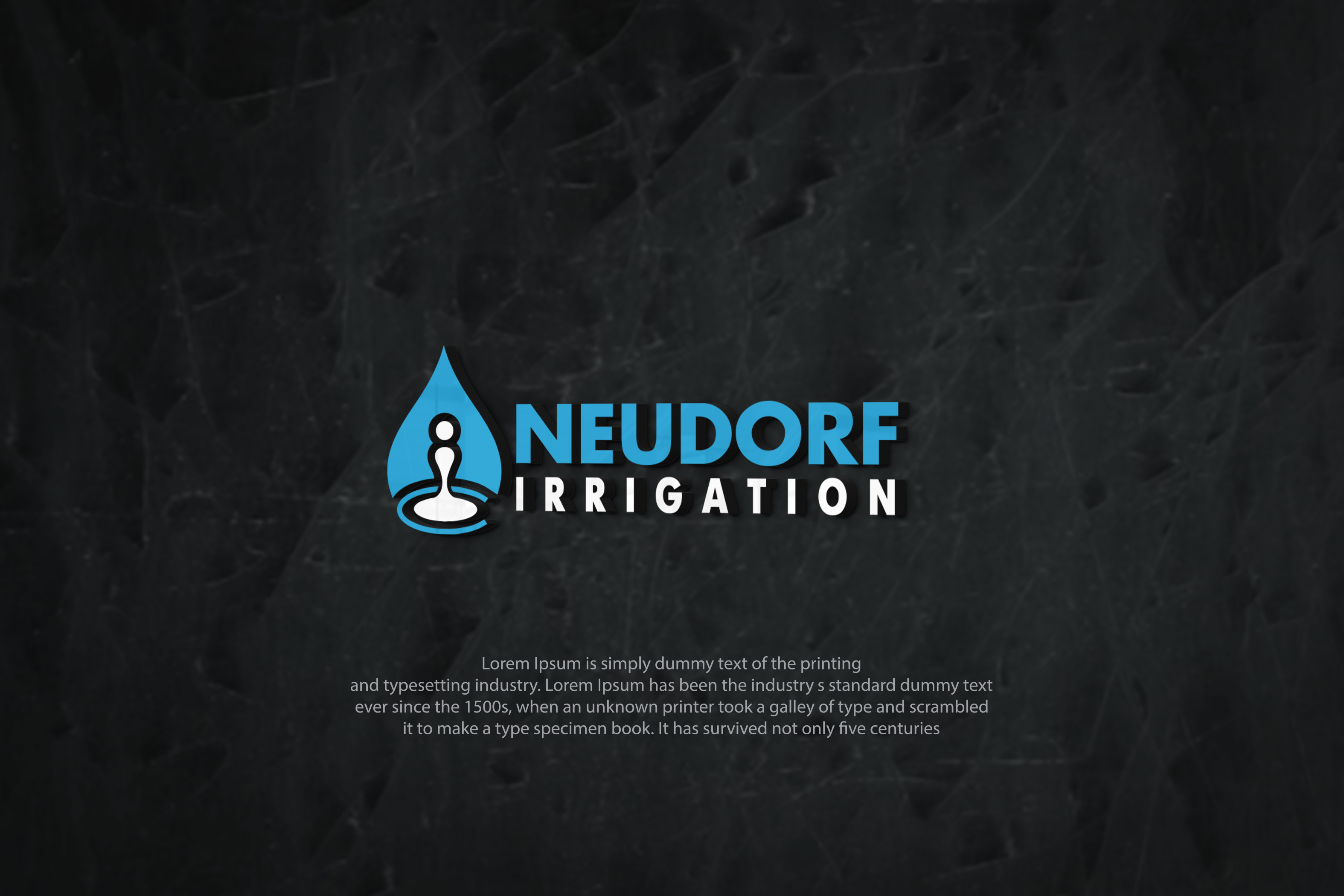 Logo Design by RedLine 3 for this project | Design #31937798